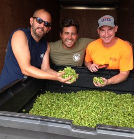 2016_1017_hops_blue_point_pick