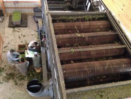 The view from atop the harvester as the machinery did its work. Courtesy photo