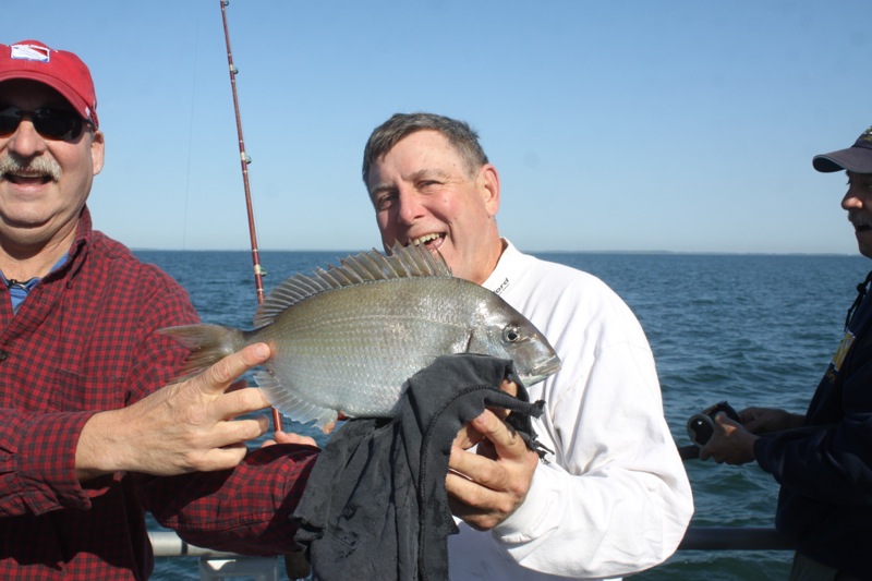Knob bed head porgy fish recipes Knob bed head porgy fish recipes