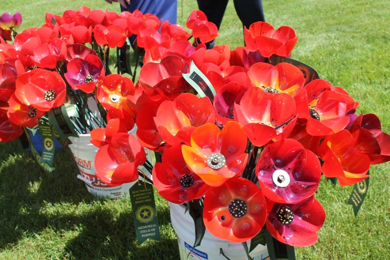 Memorial Field of Poppies' A Labor Of Love From Southold American Legion's  Ladies Auxiliary to Vets
